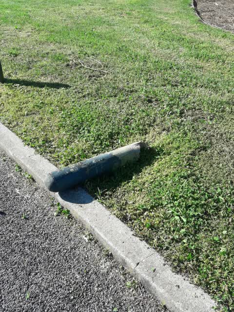 Parks, a report photo