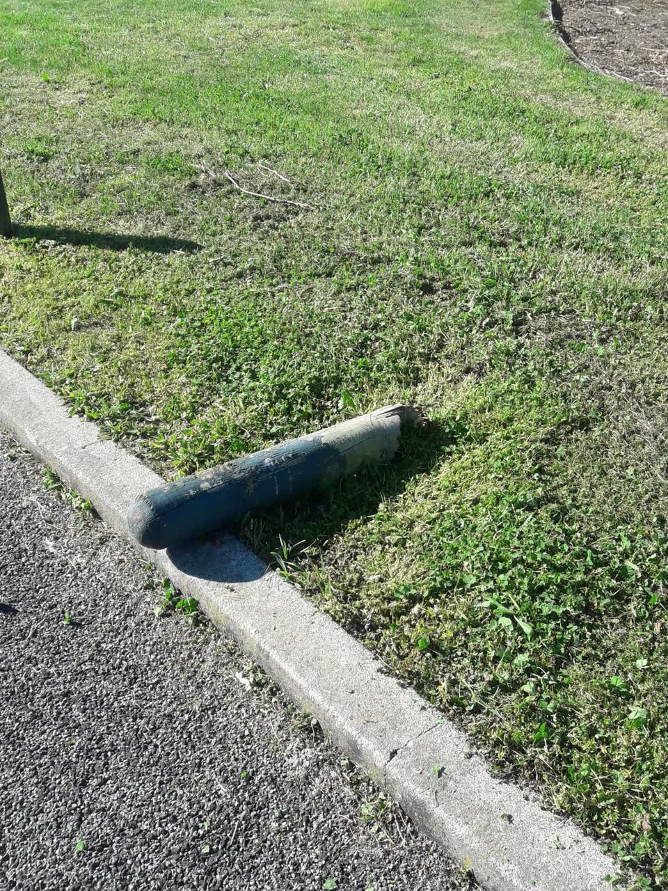 The photograph attached to this parks report