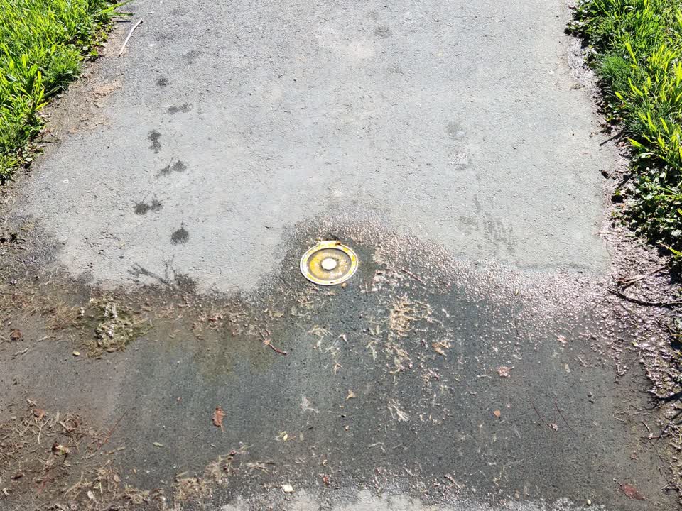 The photograph attached to this water leak report