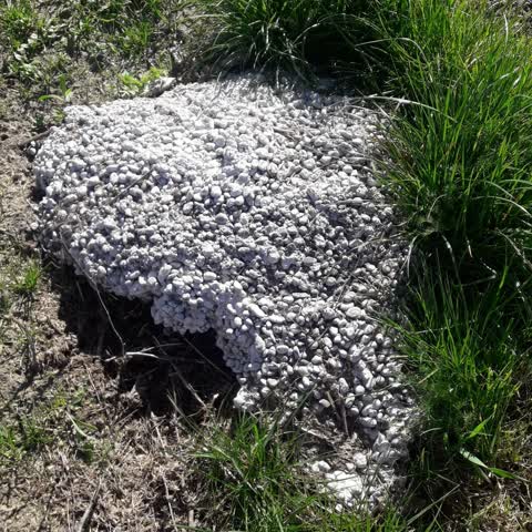 Dumped Rubbish, a report photo