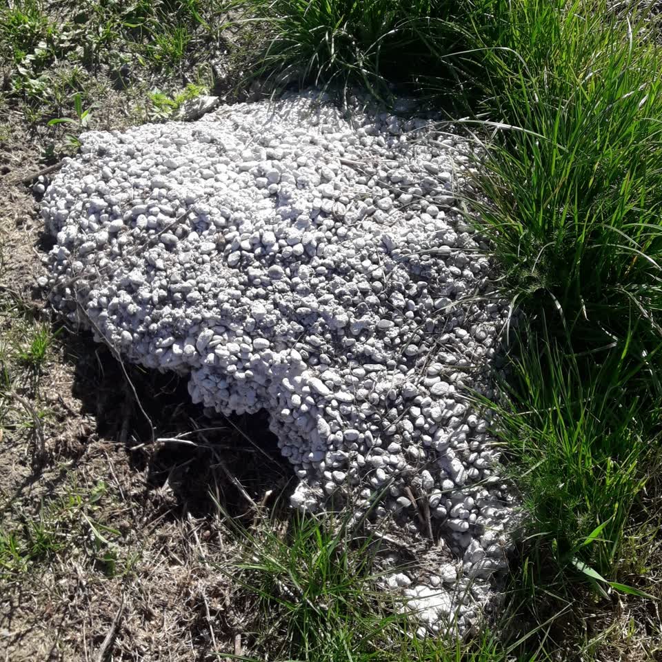 The photograph attached to this dumped rubbish report