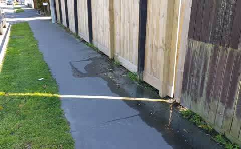 Water Leak, a report photo