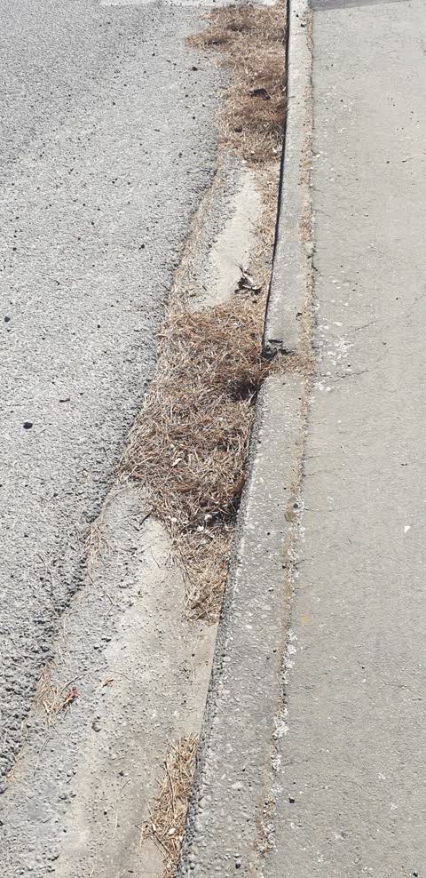 Roads - General, a report photo