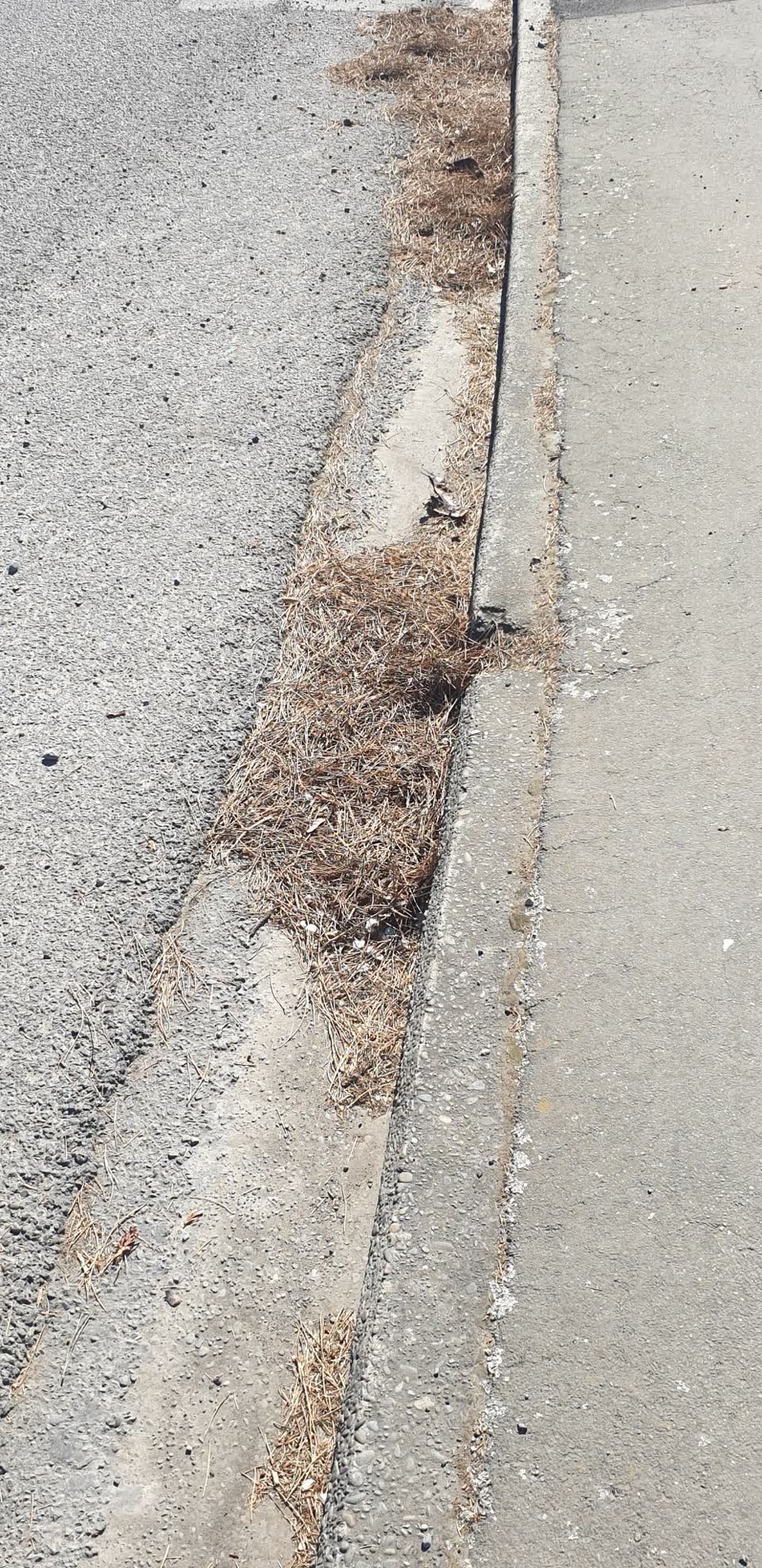 The photograph attached to this roads - general report