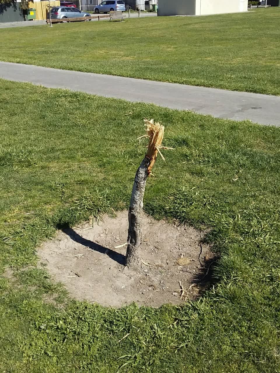 The photograph attached to this parks report