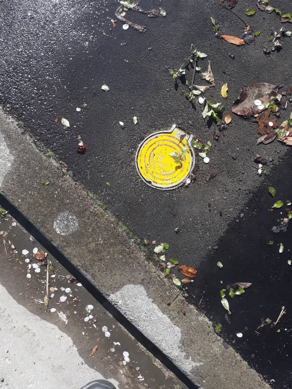 The photograph attached to this water leak report