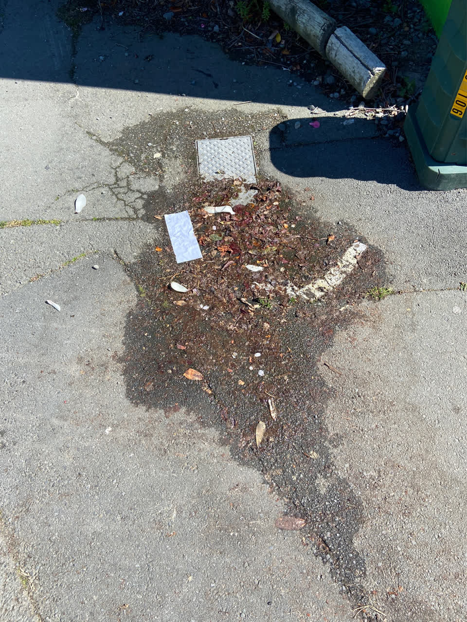The photograph attached to this roads - general report