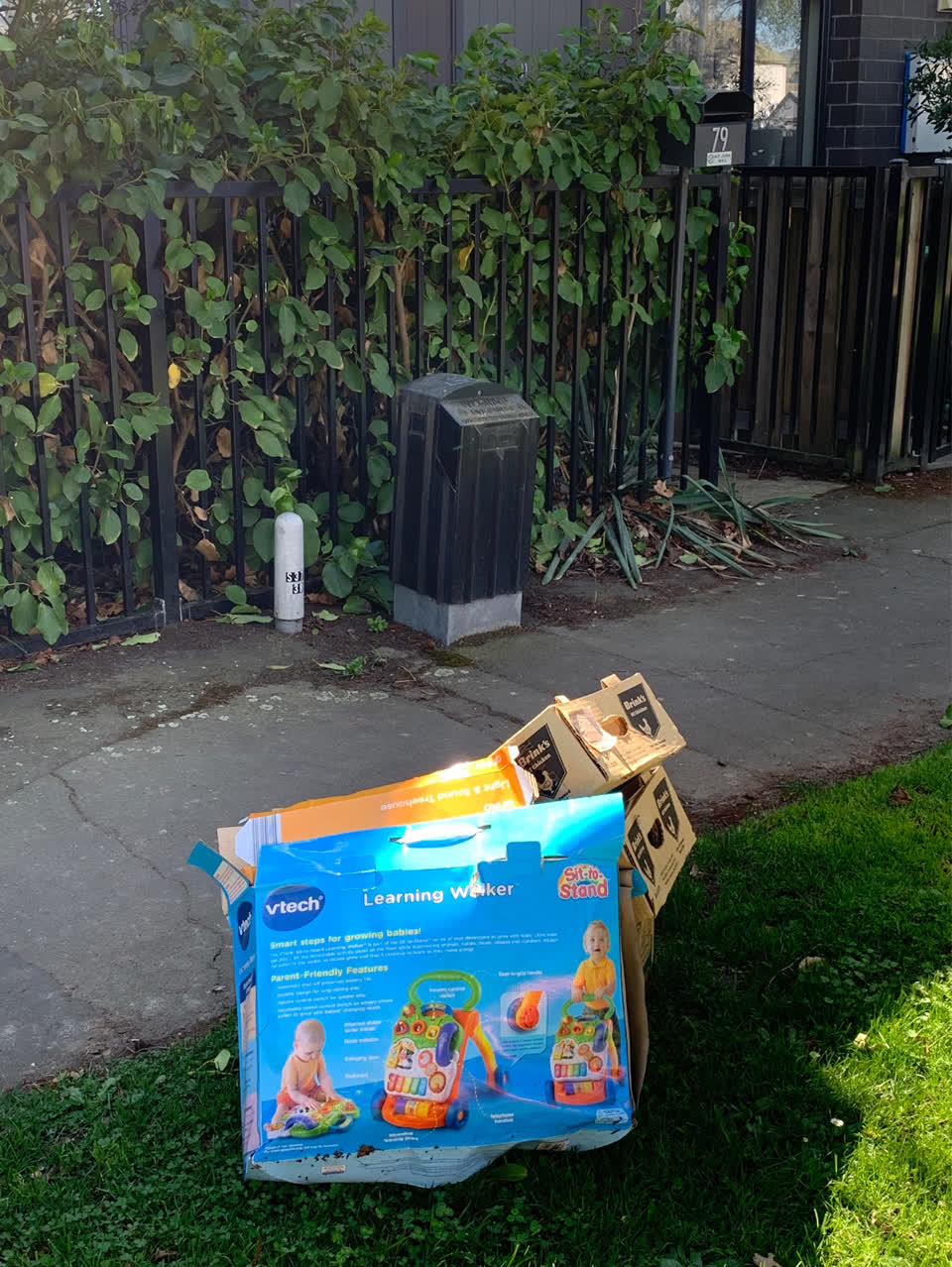 The photograph attached to this dumped rubbish report
