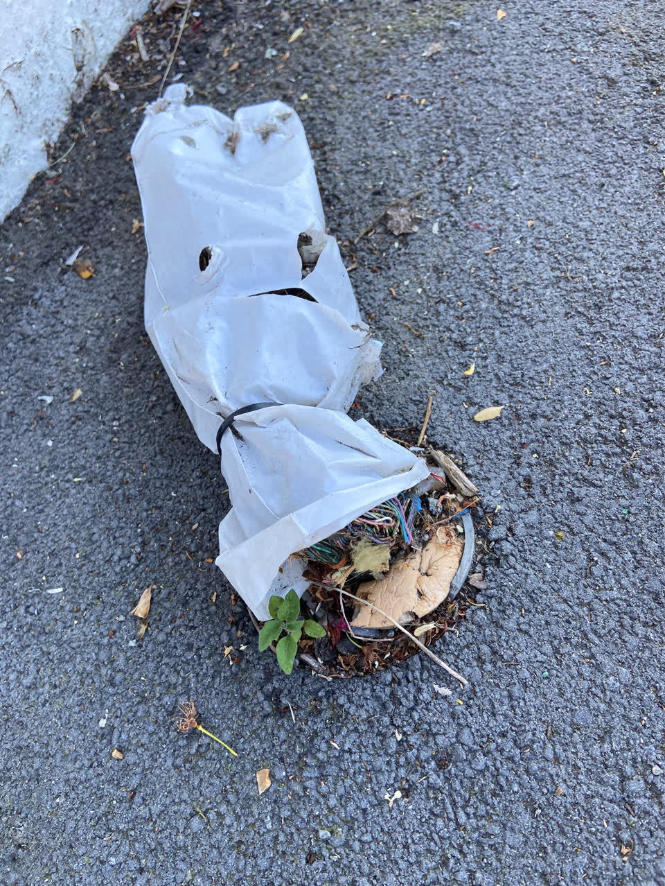 The photograph attached to this roads - general report