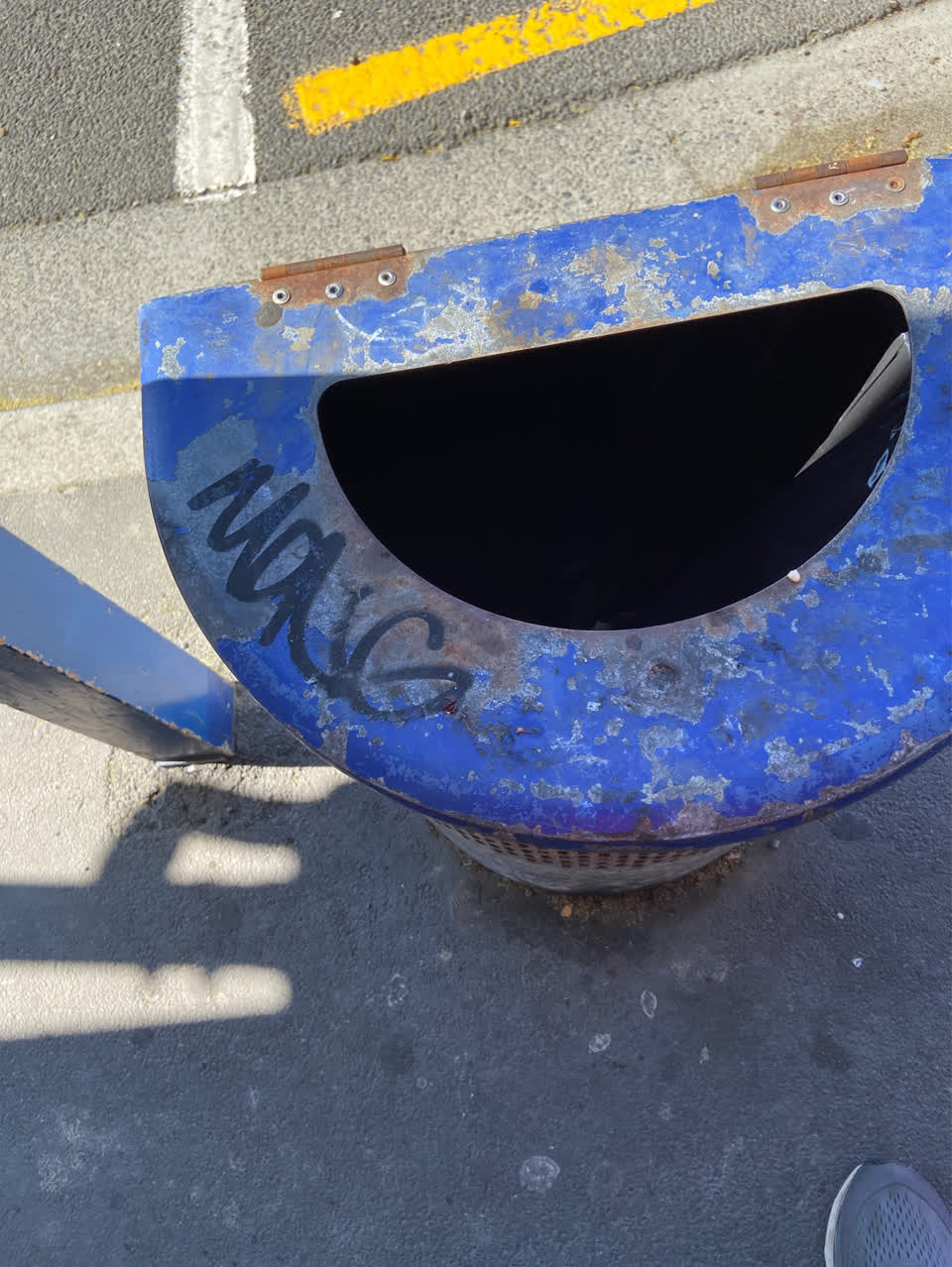The photograph attached to this graffiti - public property report