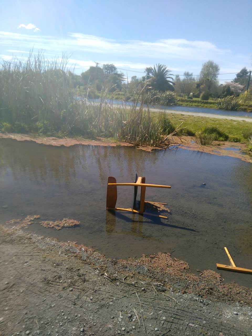 The photograph attached to this dumped rubbish report