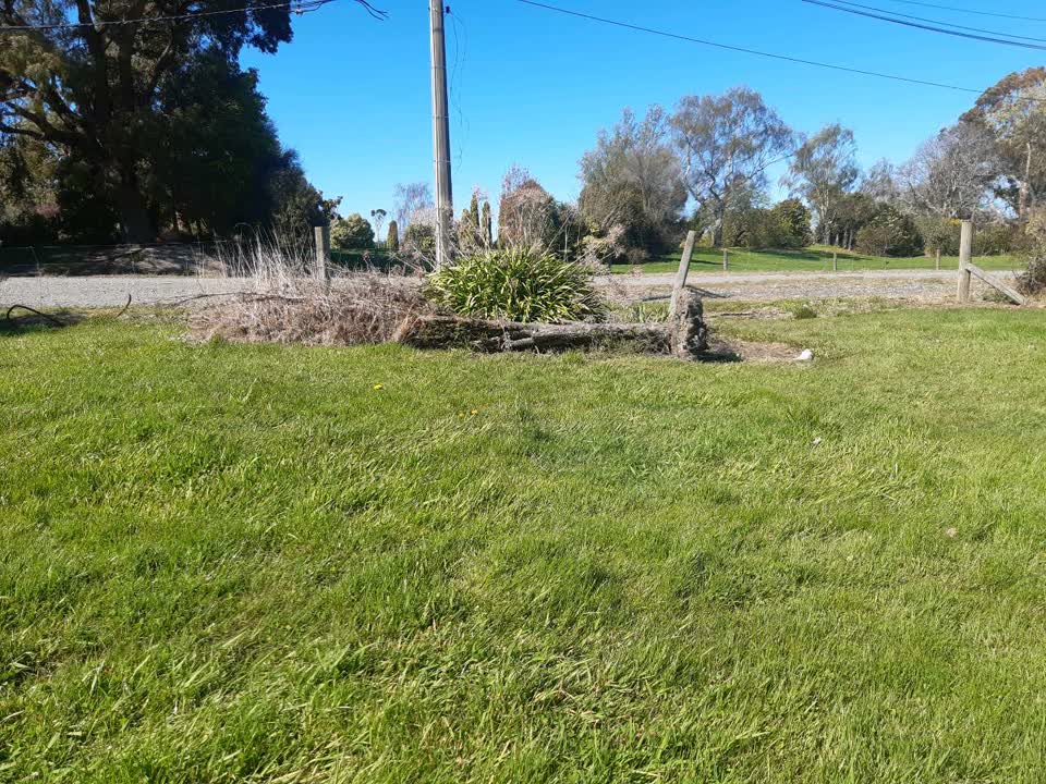 The photograph attached to this fallen tree report