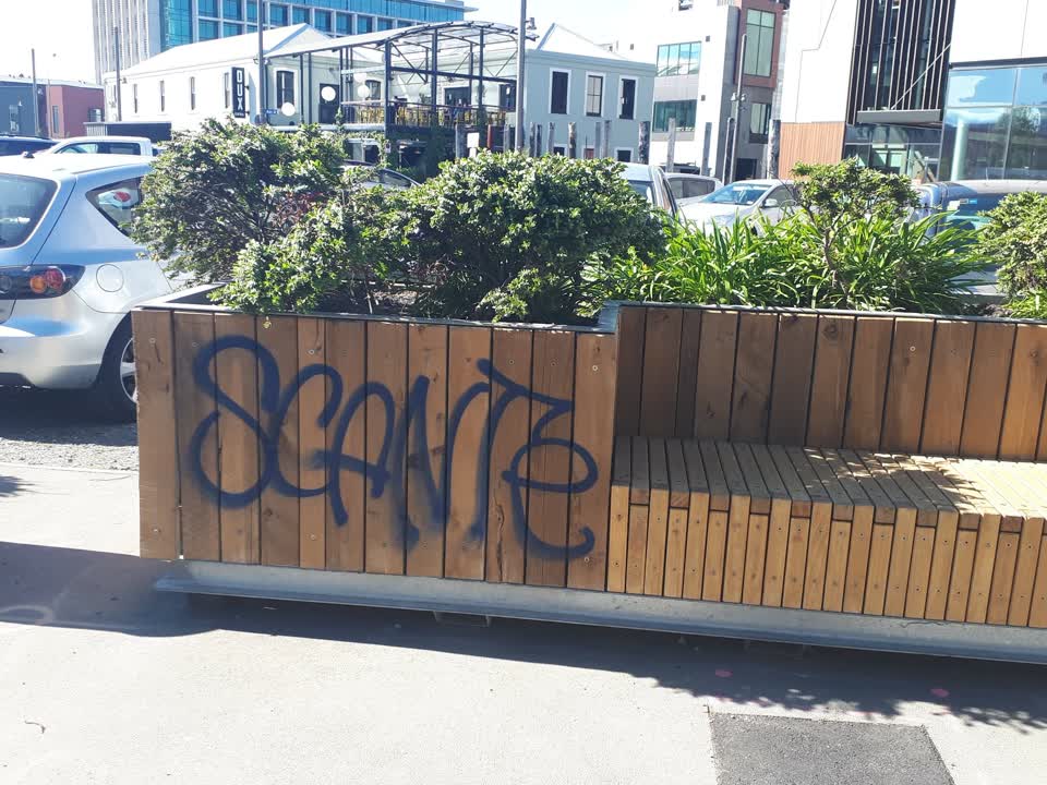 The photograph attached to this graffiti - public property report