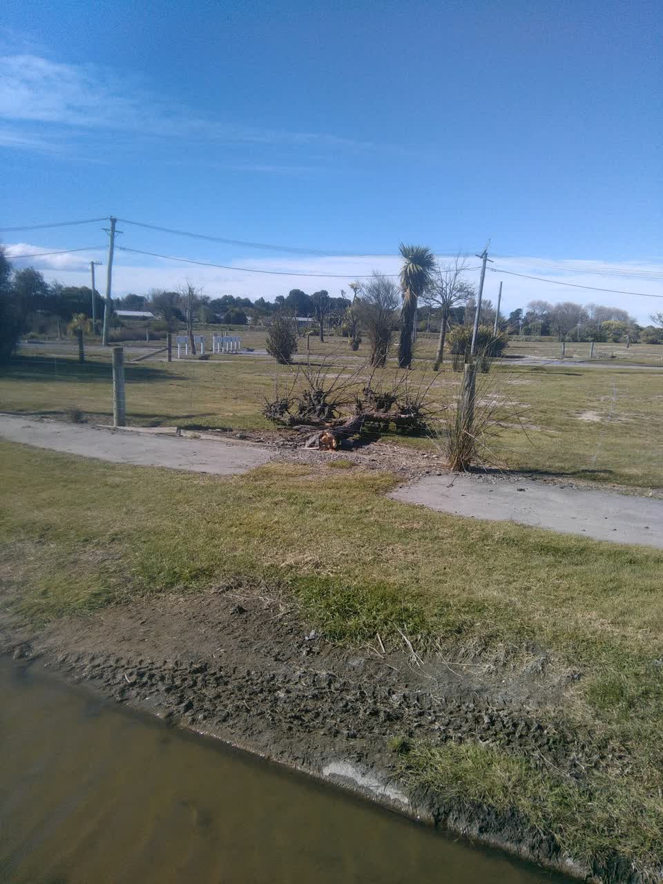 The photograph attached to this fallen tree report