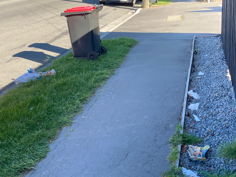 The photograph attached to this rubbish and bins - general report