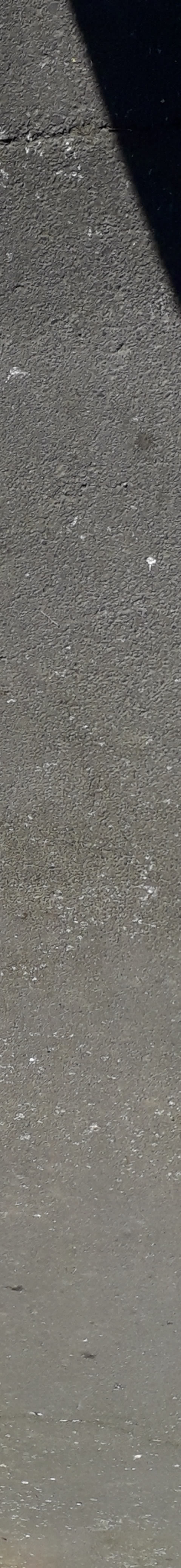 The photograph attached to this litter report