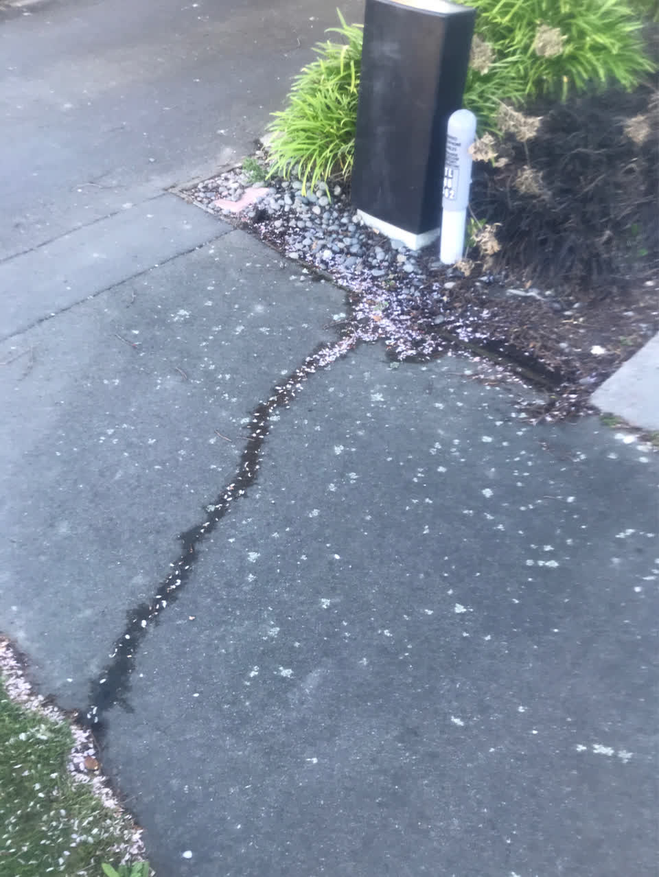 The photograph attached to this water leak report