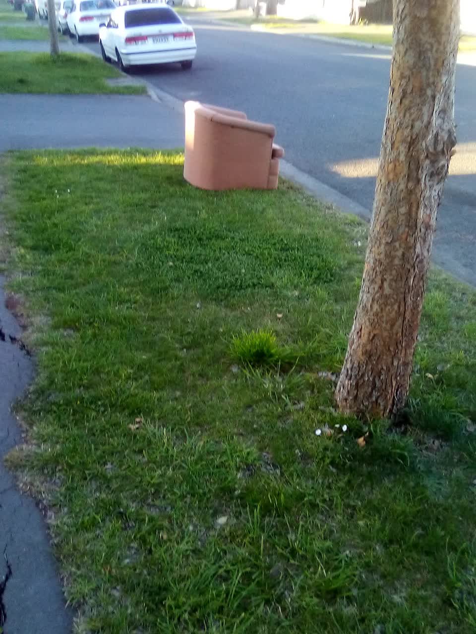 The photograph attached to this dumped rubbish report