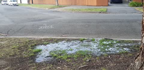 Water General, a report photo