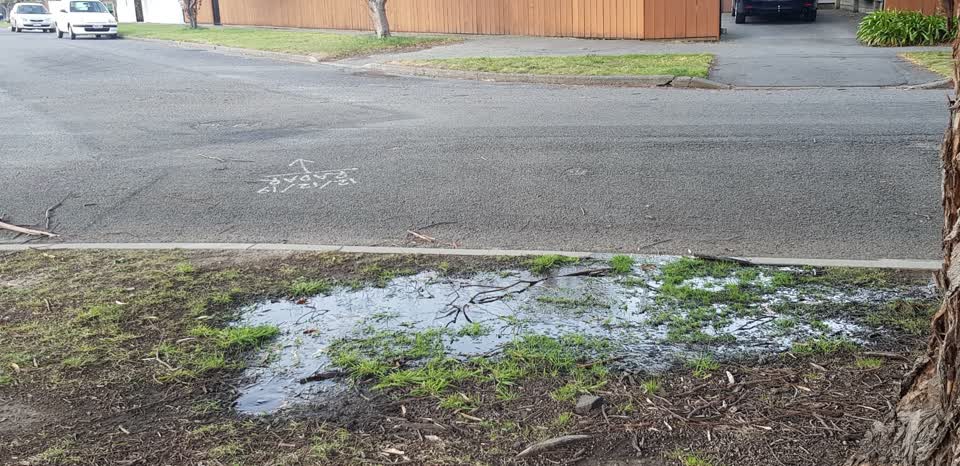 The photograph attached to this water general report