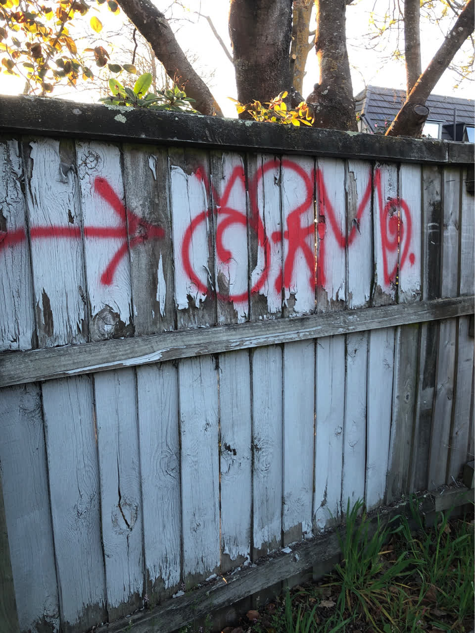 The photograph attached to this graffiti report
