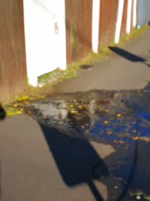 Water Leak — a report photo