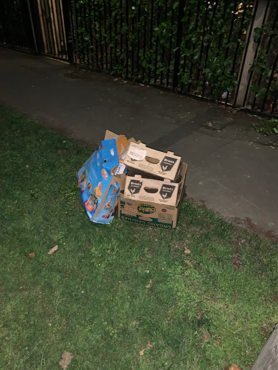 The photograph attached to this dumped rubbish report