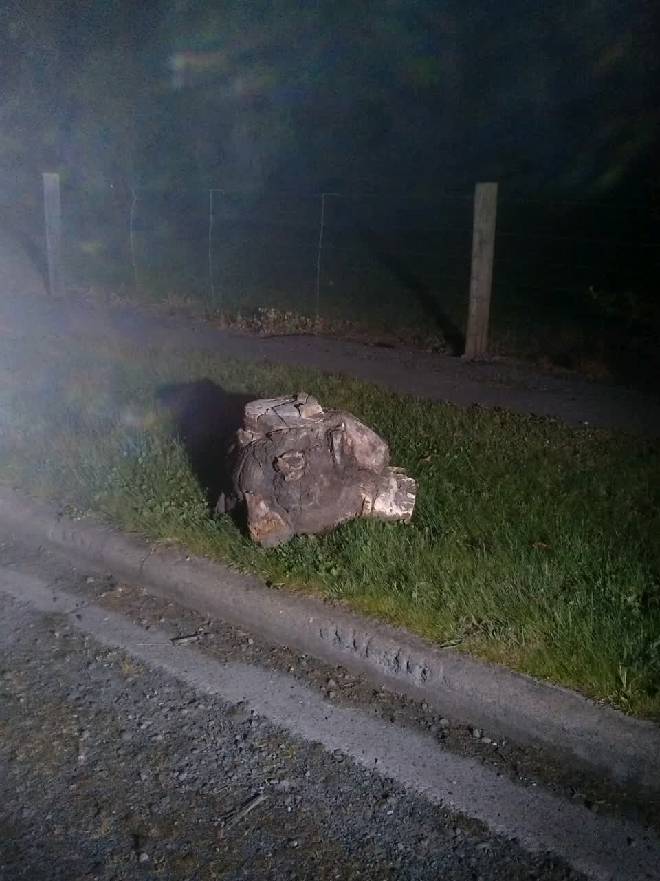 The photograph attached to this dumped rubbish report