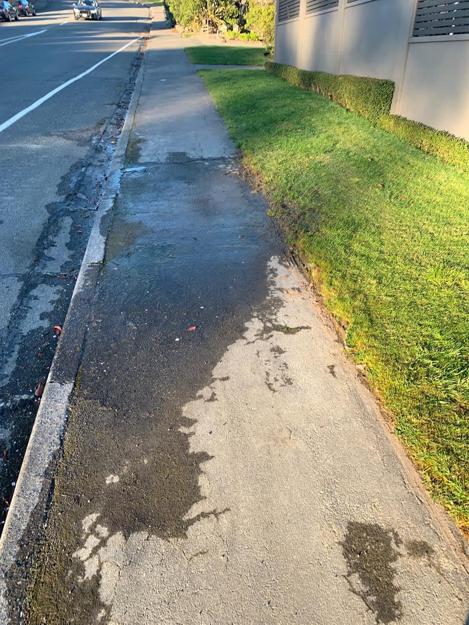 The photograph attached to this water leak report