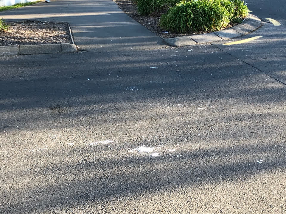 The photograph attached to this road blockage report