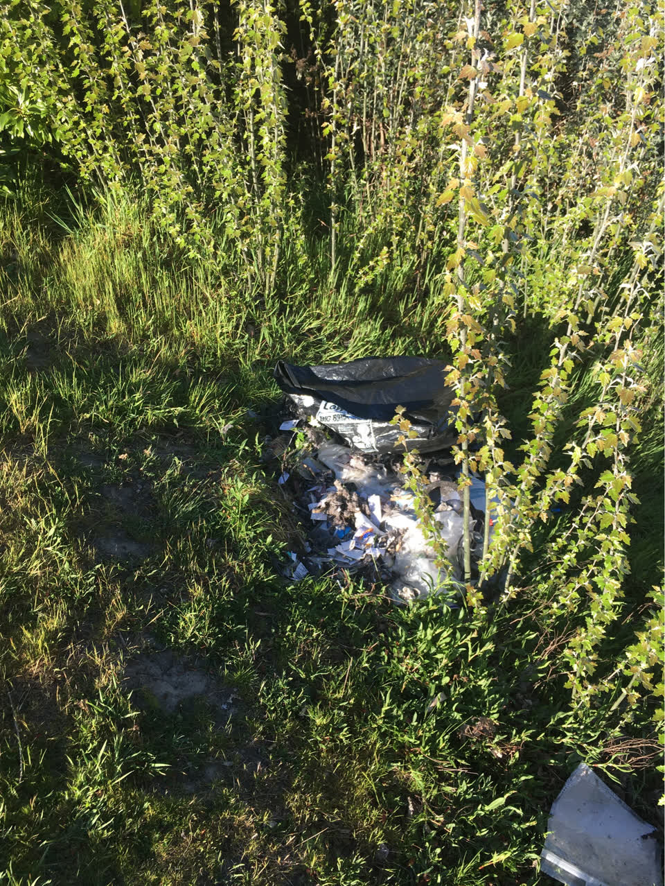The photograph attached to this parks report