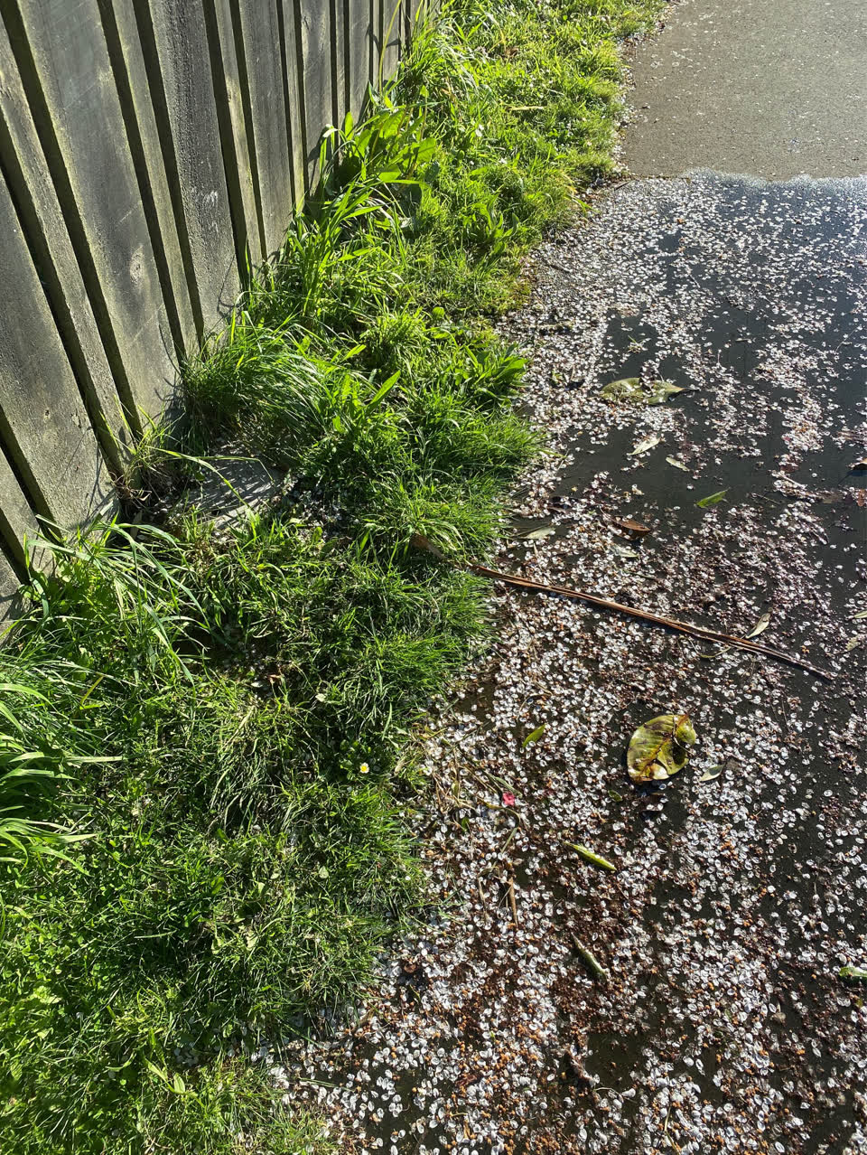 The photograph attached to this water leak report