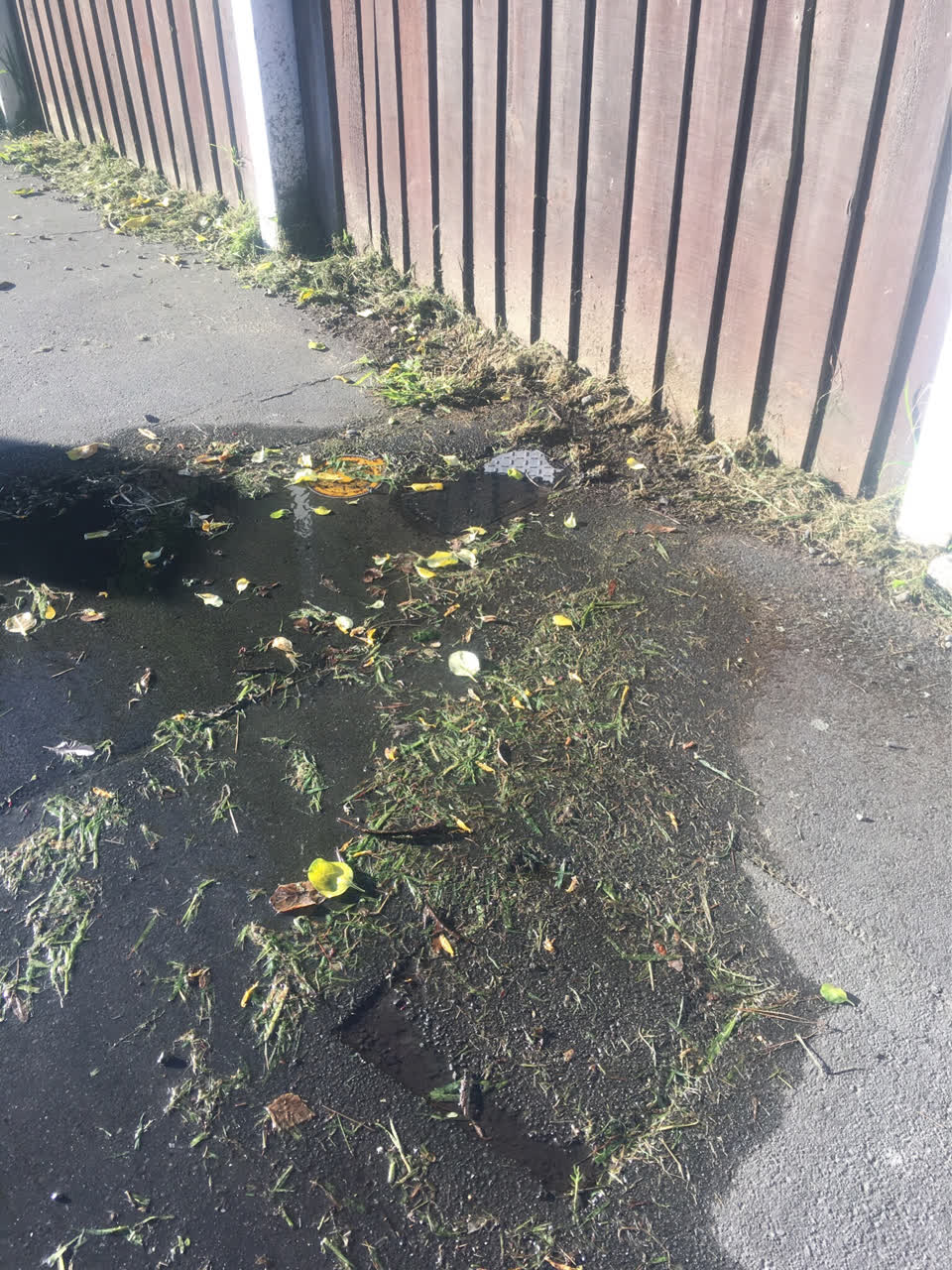 The photograph attached to this water leak report