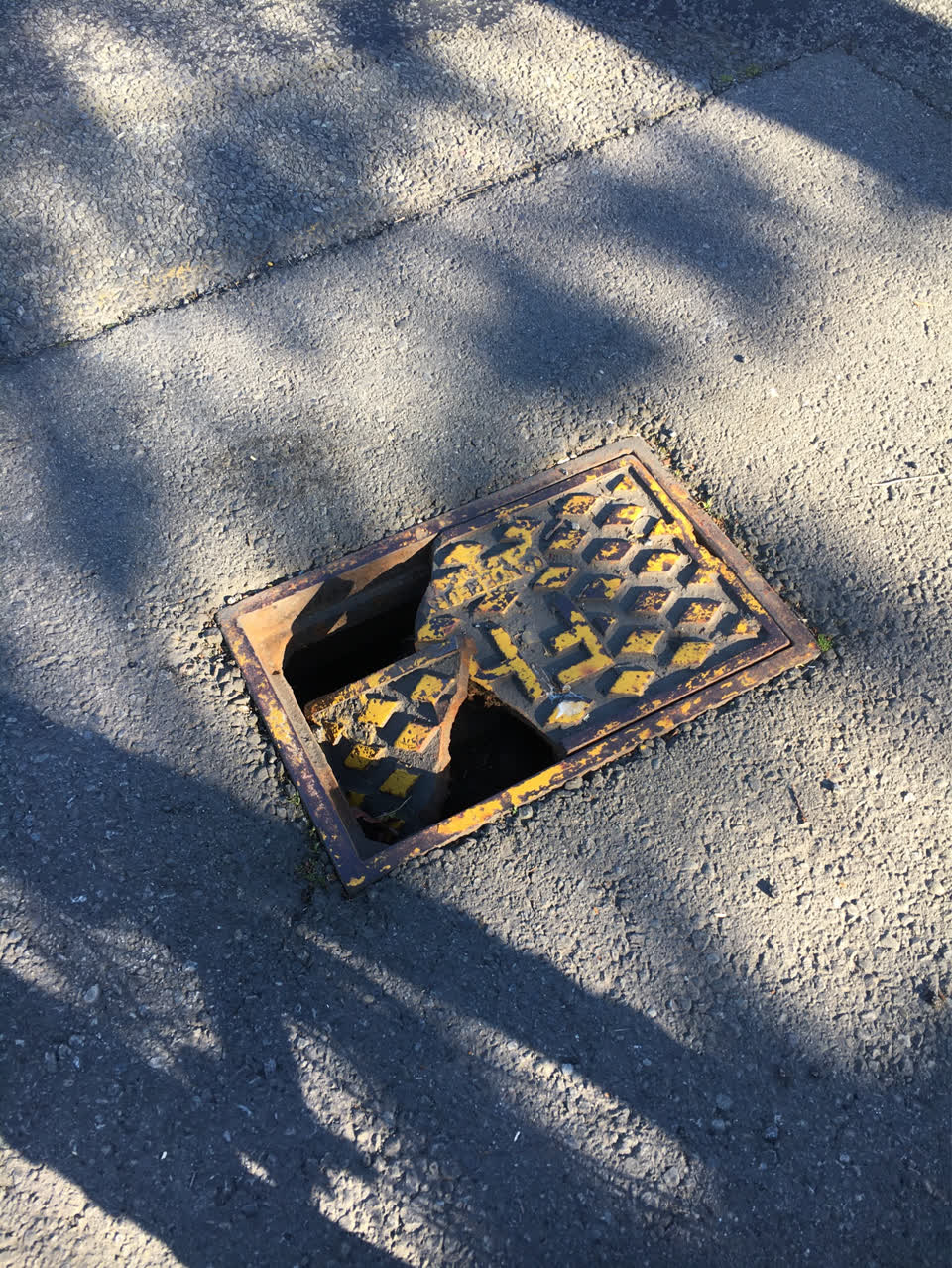 The photograph attached to this damaged road report