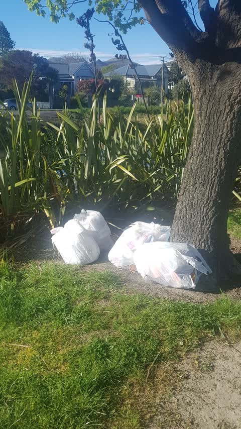 Dumped Rubbish, a report photo
