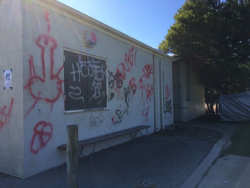 The photograph attached to this graffiti - public property report