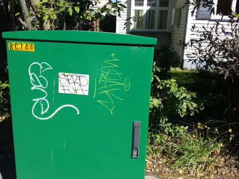 Graffiti — a report photo