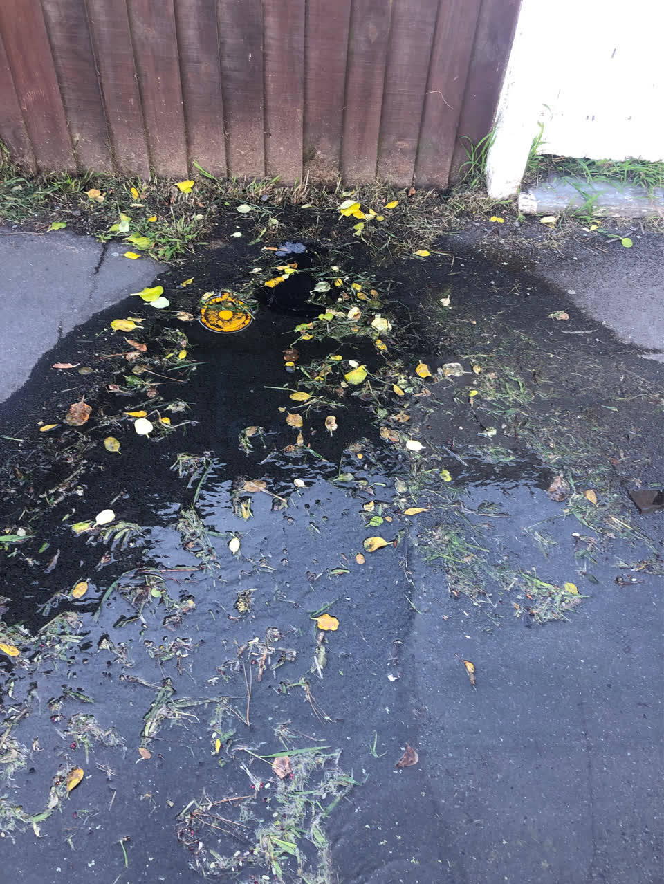 The photograph attached to this water leak report