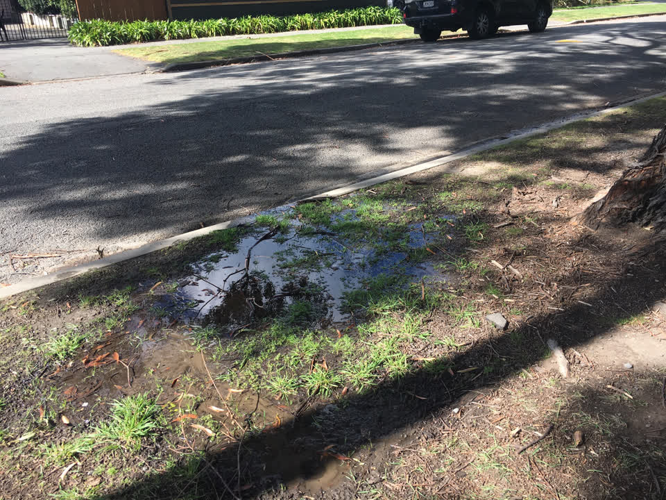 The photograph attached to this water leak report