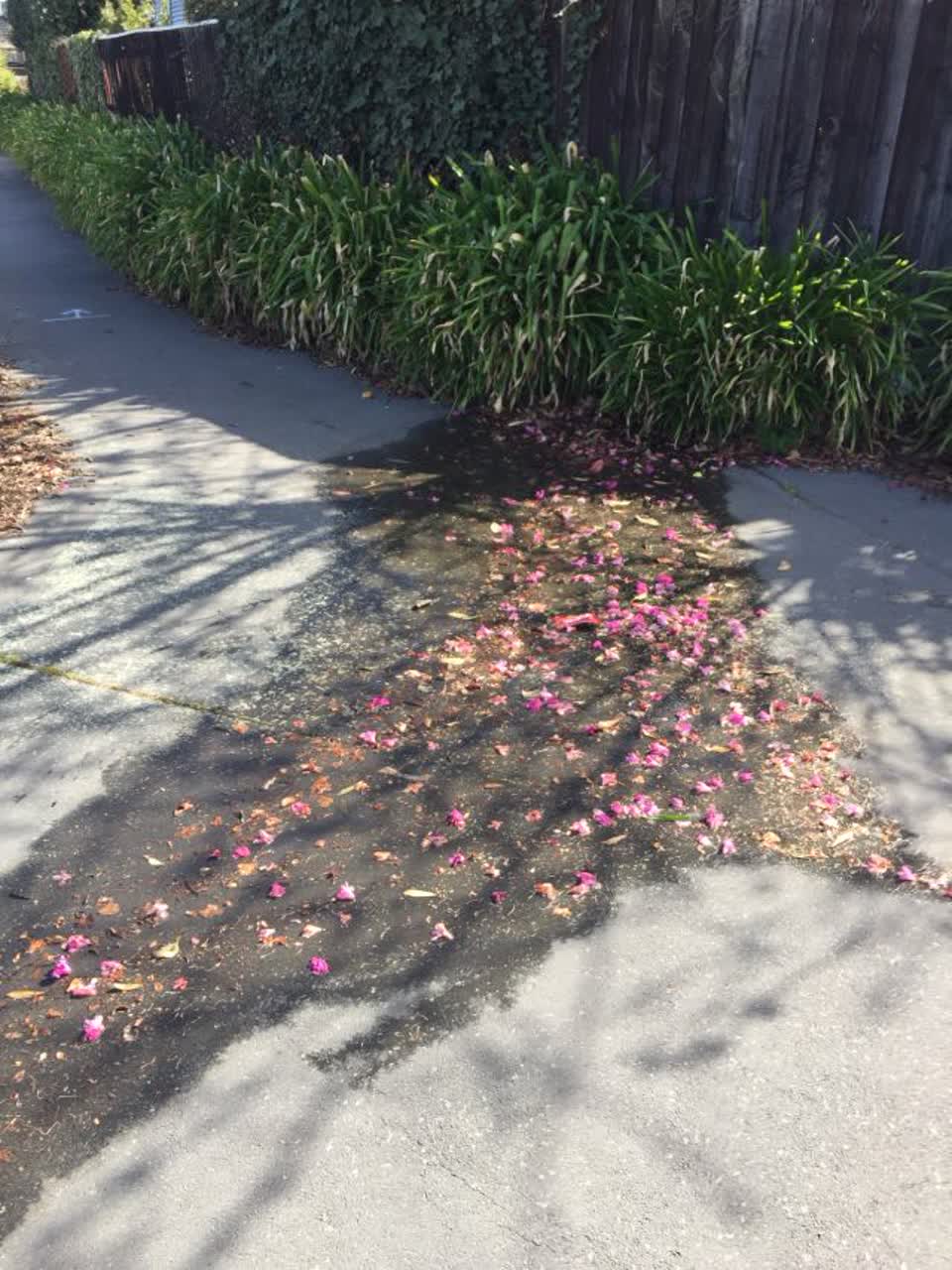 The photograph attached to this water leak report