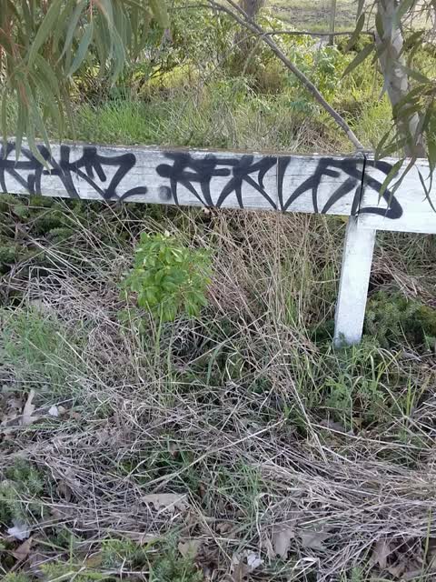 Graffiti - Public Property, a report photo