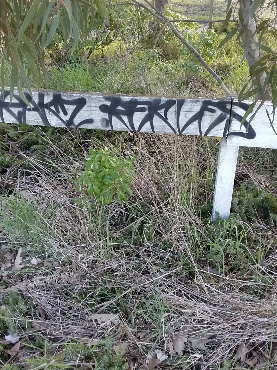 The photograph attached to this graffiti - public property report