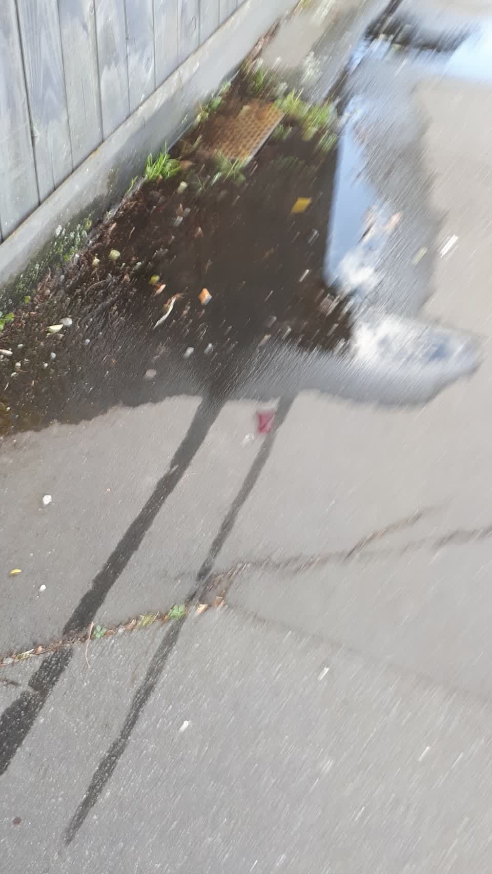 The photograph attached to this water leak report