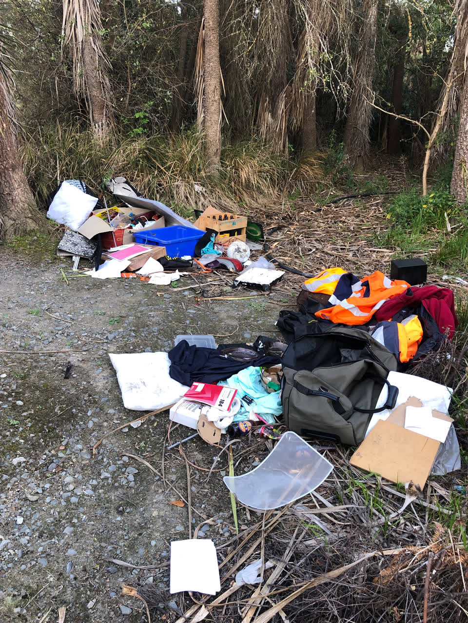 The photograph attached to this dumped rubbish report