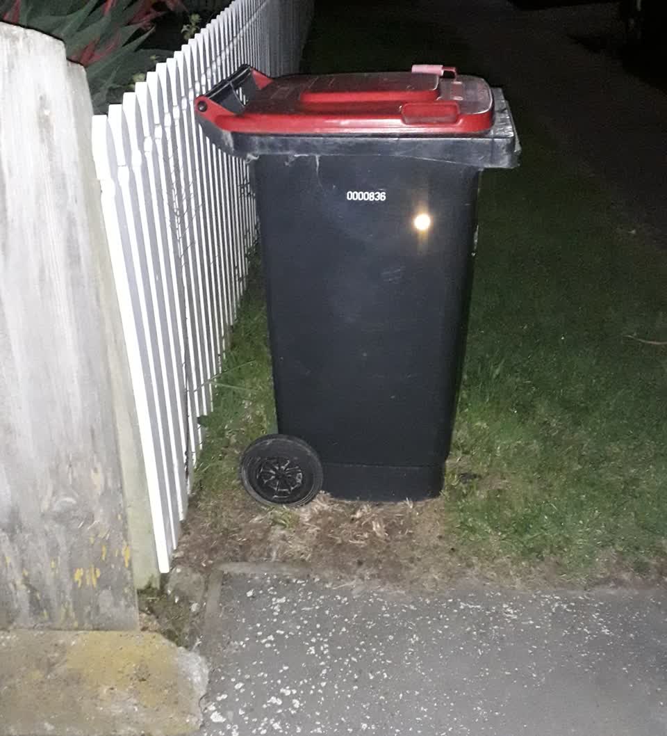 The photograph attached to this rubbish and bins - general report