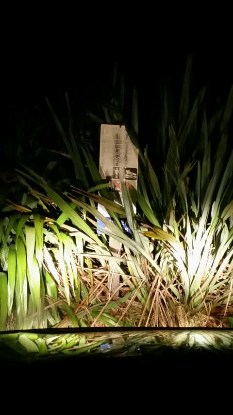 Damaged Street Sign, a report photo
