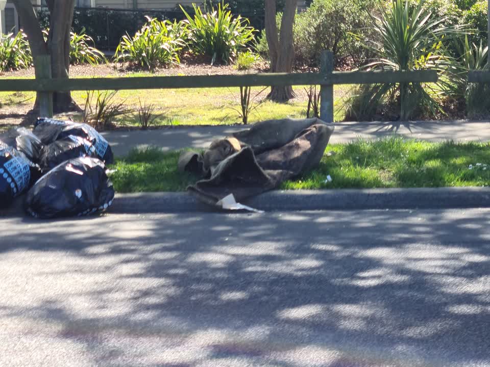 The photograph attached to this dumped rubbish report