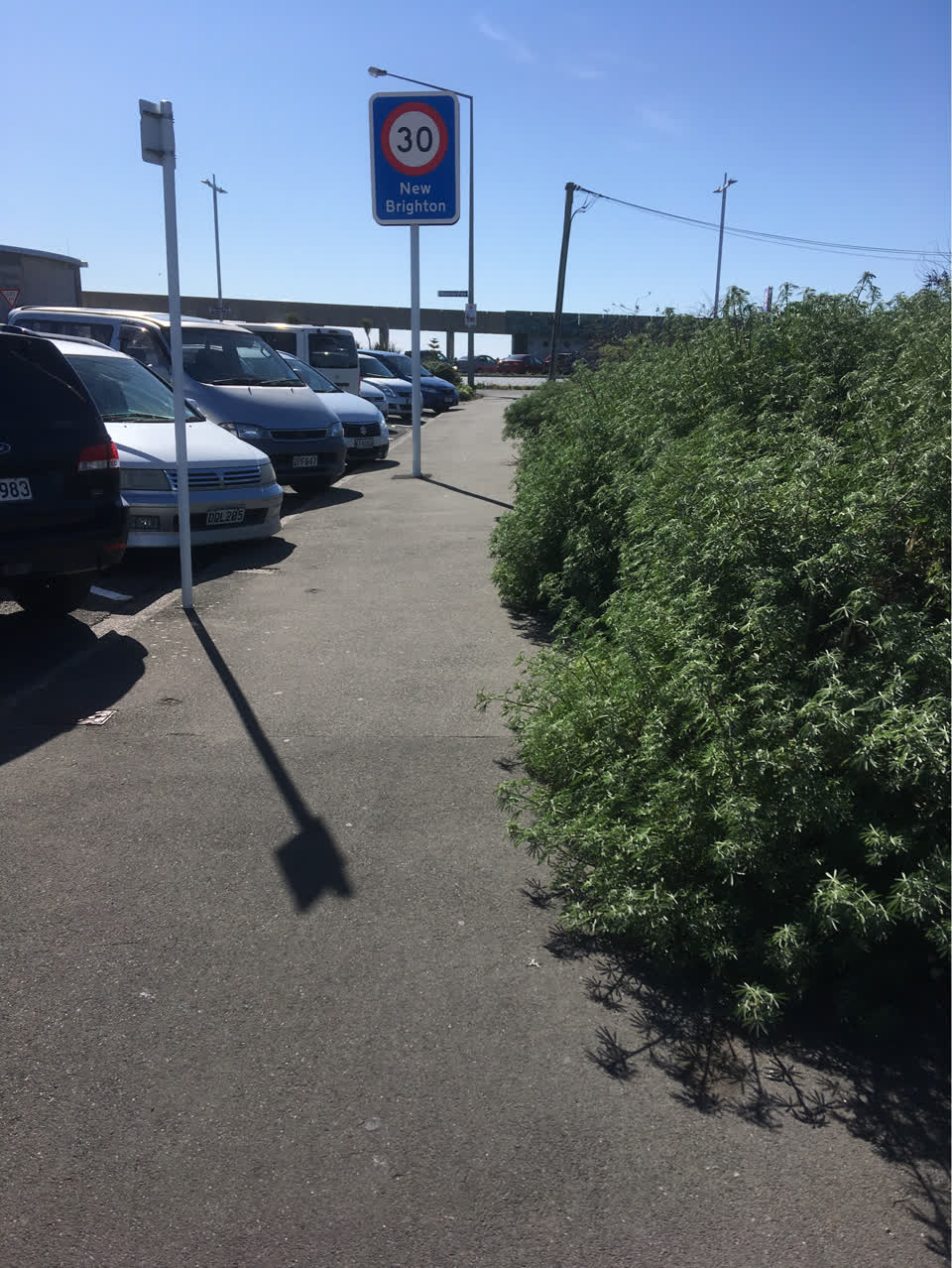 The photograph attached to this overgrown vegetation report