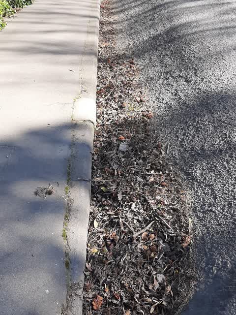 Roads - General, a report photo
