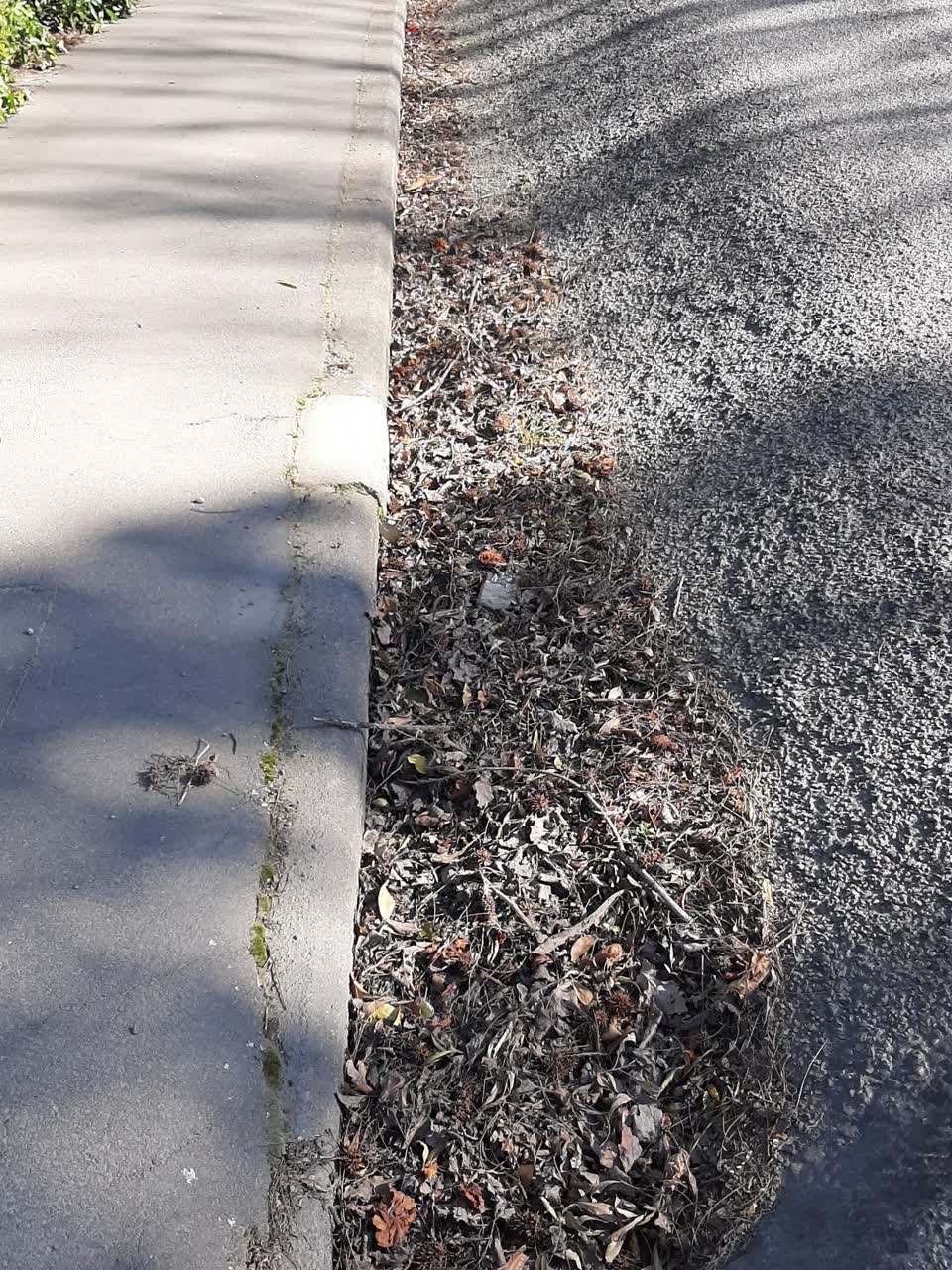 The photograph attached to this roads - general report